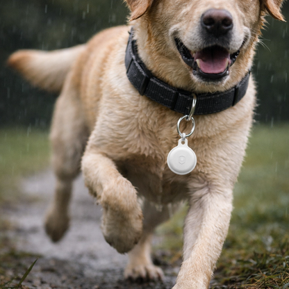 Smart GPS Tracker | for Dogs & Cats