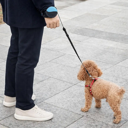 Hands-free dog leash | With hand loop & stop function | 3 m for dogs up to 25 kg