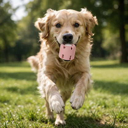 Interactive Dog Toy | Ball for Mental Stimulation & Engagement