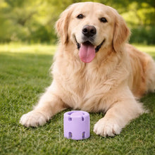 Jouet interactif pour chien | Balle pour stimulation mentale & occupation