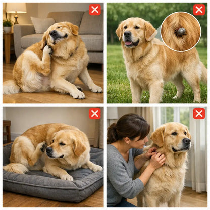 Collier anti-tiques naturel pour chien | Protection jusqu'à 8 mois