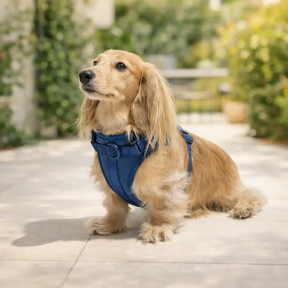 Adjustable Dog Harness | Soft & Padded Comfort Harness