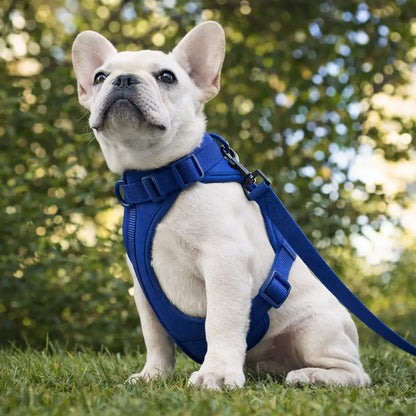 Adjustable Dog Harness | Soft & Padded Comfort Harness