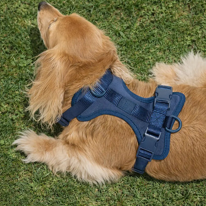 Adjustable Dog Harness | Soft & Padded Comfort Harness