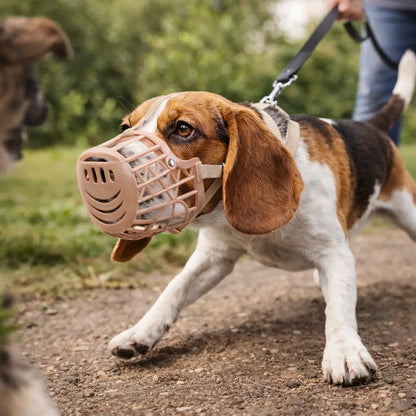 Muzzle for Dog | Adjustable & Breathable Dog Muzzle | Anti-Barking & Bite Protection