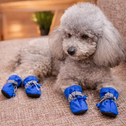 Waterproof & Non-Slip Dog Shoes | Paw Protection for Outdoors