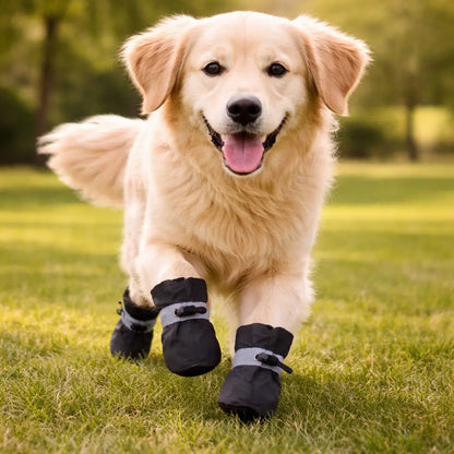 Waterproof & Non-Slip Dog Shoes | Paw Protection for Outdoors