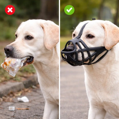 Muzzle for Dog | Breathable & Adjustable for Training & Everyday Use