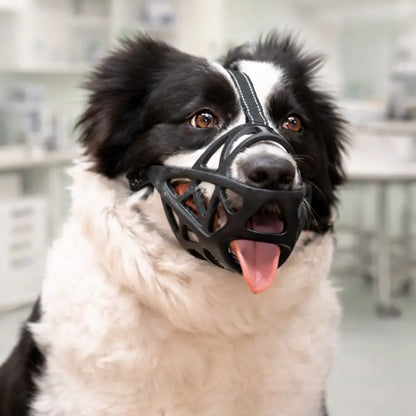 Muzzle for Dog | Breathable & Adjustable for Training & Everyday Use