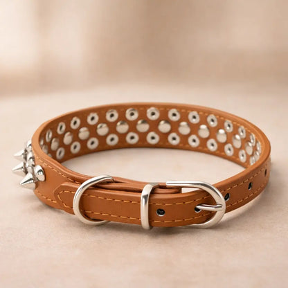 Leather Dog Collar with Studs & Spikes | Stylish & Durable