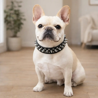Leather Dog Collar with Studs & Spikes | Stylish & Durable