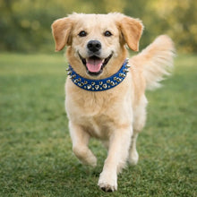 Leather Dog Collar with Studs & Spikes | Stylish & Durable