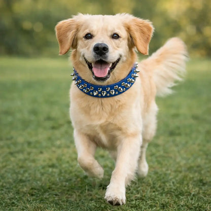 Leather Dog Collar with Studs & Spikes | Stylish & Durable