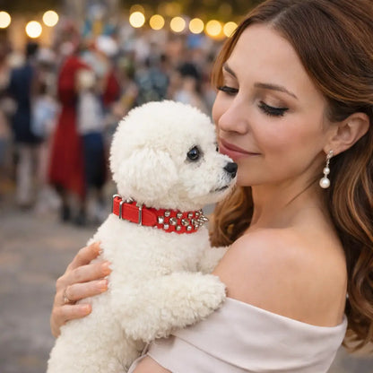 Leather Dog Collar with Studs & Spikes | Stylish & Durable