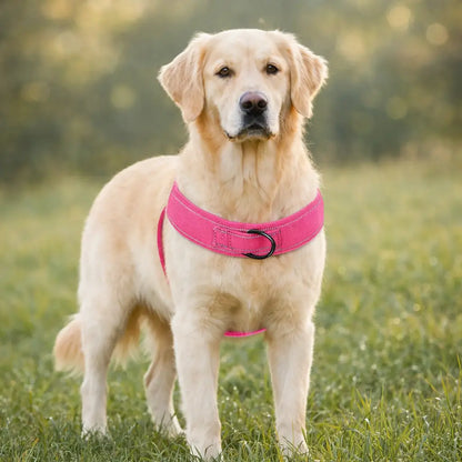 Anti-Pull Dog Harness | Adjustable, Padded & Reflective