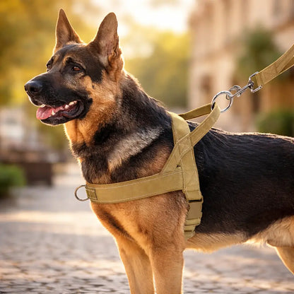 Anti-Pull Dog Harness | Adjustable, Padded & Reflective