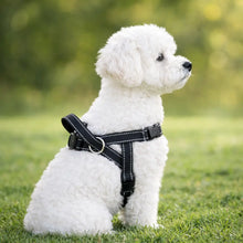 Harnais anti-traction pour chien | Réglable, rembourré & réfléchissant