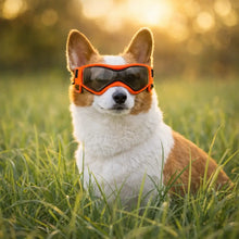 Lunettes de protection pour chiens avec protection UV – Contre le soleil, le vent & la poussière