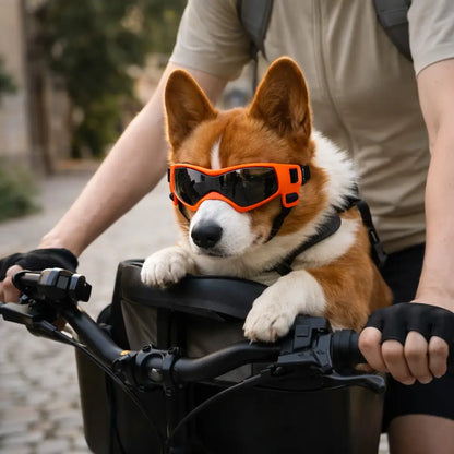 Dog goggles with UV protection – Against sun, wind & dust