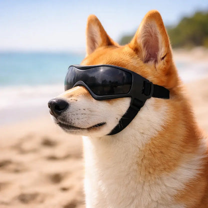 Dog goggles with UV protection – Against sun, wind & dust