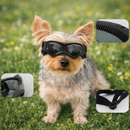 Dog goggles with UV protection – Against sun, wind & dust