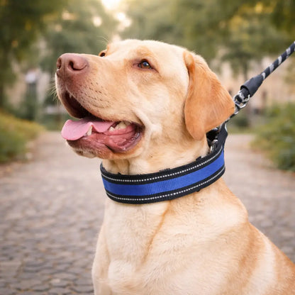 Collier anti-traction pour chien | Contrôle doux & entraînement