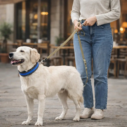 Collier anti-traction pour chien | Contrôle doux & entraînement