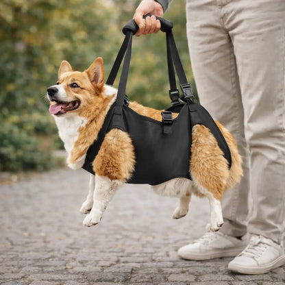 Dog Lifting Aid | Lifting Strap for Large Dogs | Support & Mobility in Daily Life