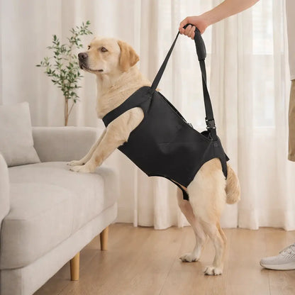 Dog Lifting Aid | Lifting Strap for Large Dogs | Support & Mobility in Daily Life