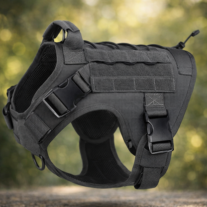 Dog harness with handle | Stable, comfortable, and suitable for outdoor use