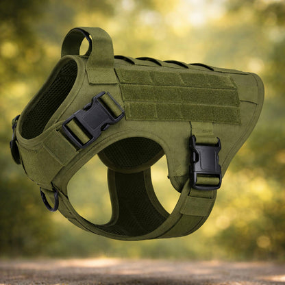 Dog harness with handle | Stable, comfortable, and suitable for outdoor use