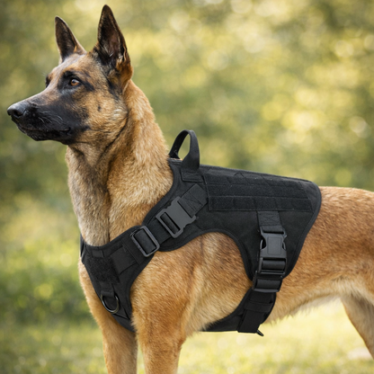Dog harness with handle | Stable, comfortable, and suitable for outdoor use