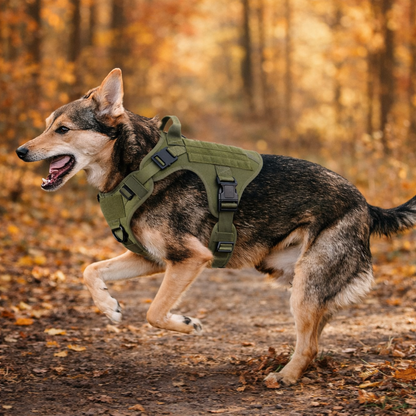Dog harness with handle | Stable, comfortable, and suitable for outdoor use