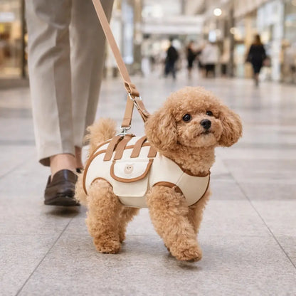 Hundetragetasche & Transporttasche | Verstellbar & Komfort