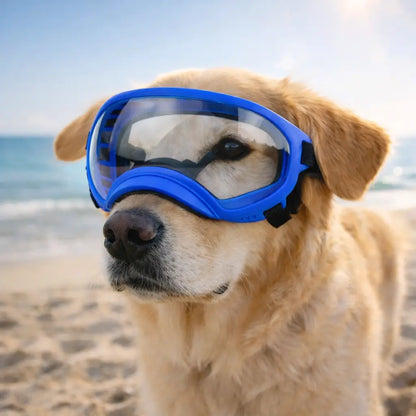Schutzbrille mit UV Schutz | Winddicht & Verstellbar