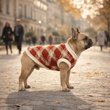 Dog Coat Dog Sweater | Winter & Plush