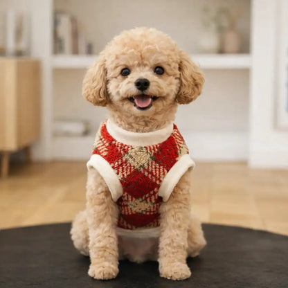 Hundemantel Hundepullover | Winter & Plüsch