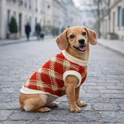 Hundemantel Hundepullover | Winter & Plüsch