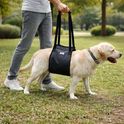 Hundetragehilfe für Hunde | Hebehilfe Hinterbeine Support