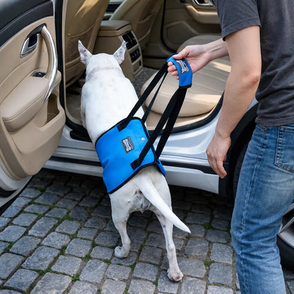 Hundetragehilfe für Hunde | Hebehilfe Hinterbeine Support