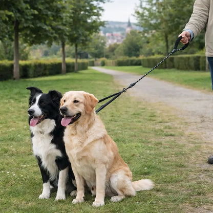 2-in-1 Dog Leash for 2 Dogs | Tangle-Free Double Leash
