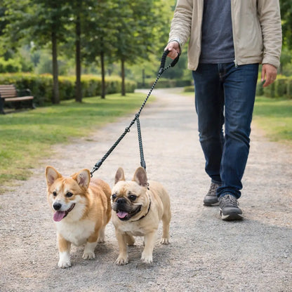 2-in-1 Dog Leash for 2 Dogs | Tangle-Free Double Leash