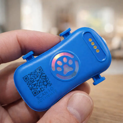 GPS Tracker Cat | Real-Time Tracking with App & QR Code Finder