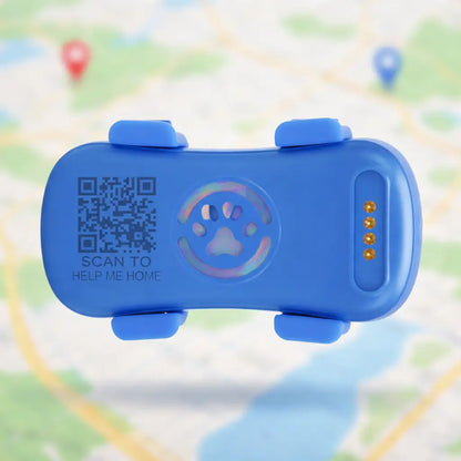 GPS Tracker Cat | Real-Time Tracking with App & QR Code Finder