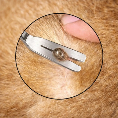 Zeckenzange Hund | Präzise Edelstahl Pinzette 2-in-1