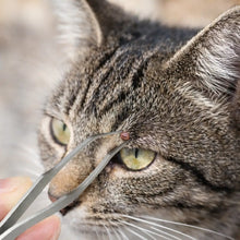 Tick Remover for Cats | Stainless Steel 2-in-1 Precision Tick Tweezer