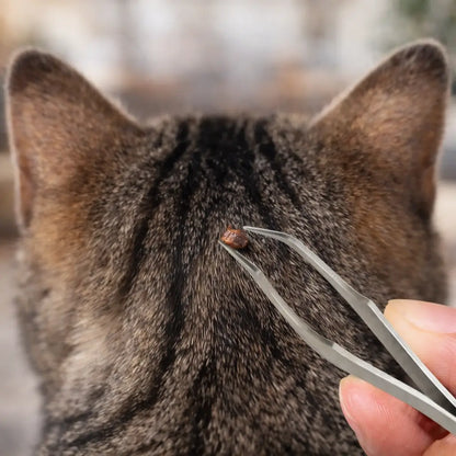 Enlève-tiques pour chat | Pince à tiques en acier inoxydable 2-en-1 de précision