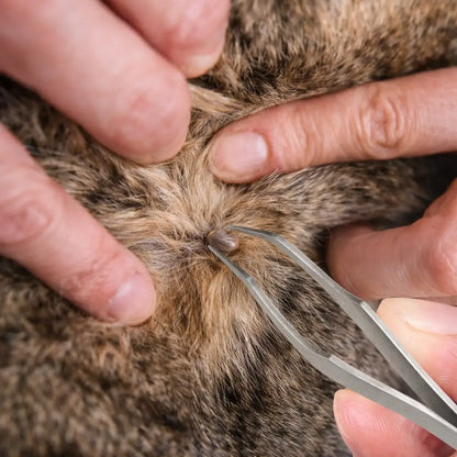 Enlève-tiques pour chat | Pince à tiques en acier inoxydable 2-en-1 de précision