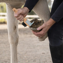 Hoof Scraper with Brush | Wooden Handle Hoof Cleaner for Horse Care