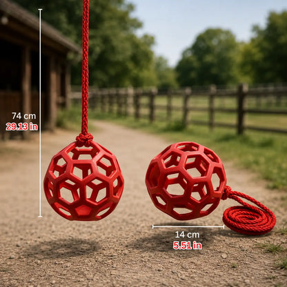 Feed ball for horses & goats | Hay ball for entertainment in the stable